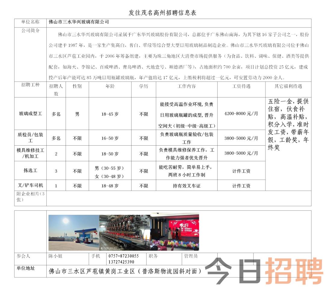 高州金山最新司机招聘信息详解