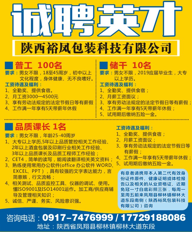 凤翔最新招聘信息今日揭秘