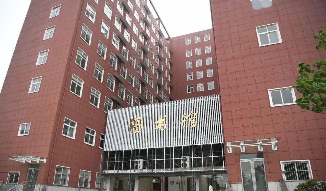 周口搓澡行业招聘信息与行业发展趋势深度解析