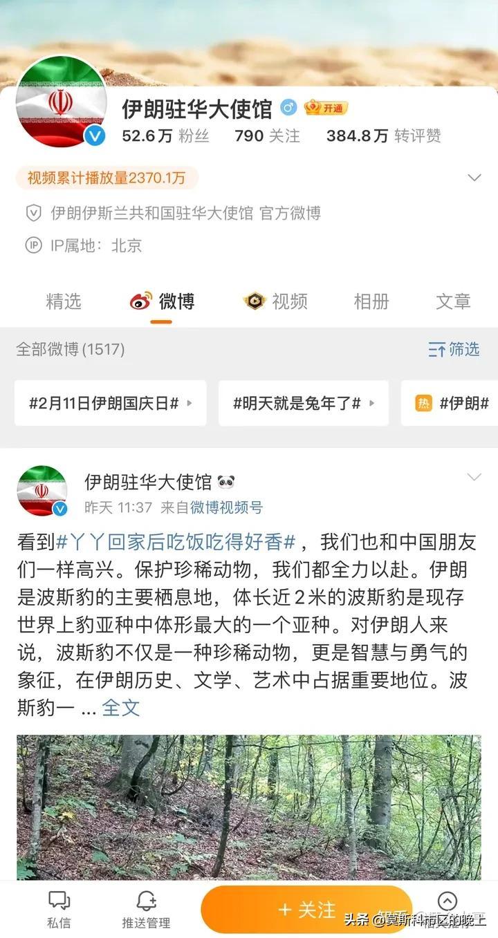 后沙月光下的故事，最新篇章