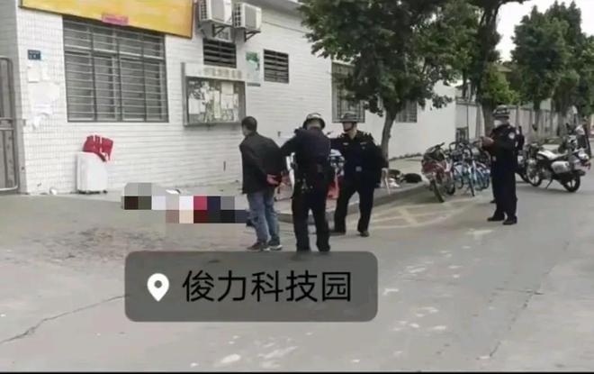 桂林荔浦最新杀人事件深度剖析与反思，社会安全的警钟长鸣