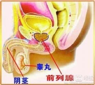 前列腺癌最新治疗进展与策略综述