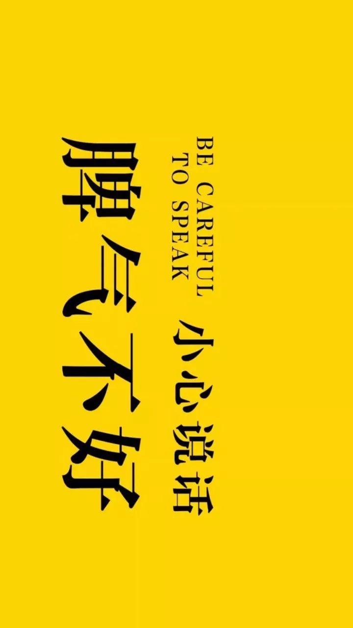 2024年11月11日 第13页