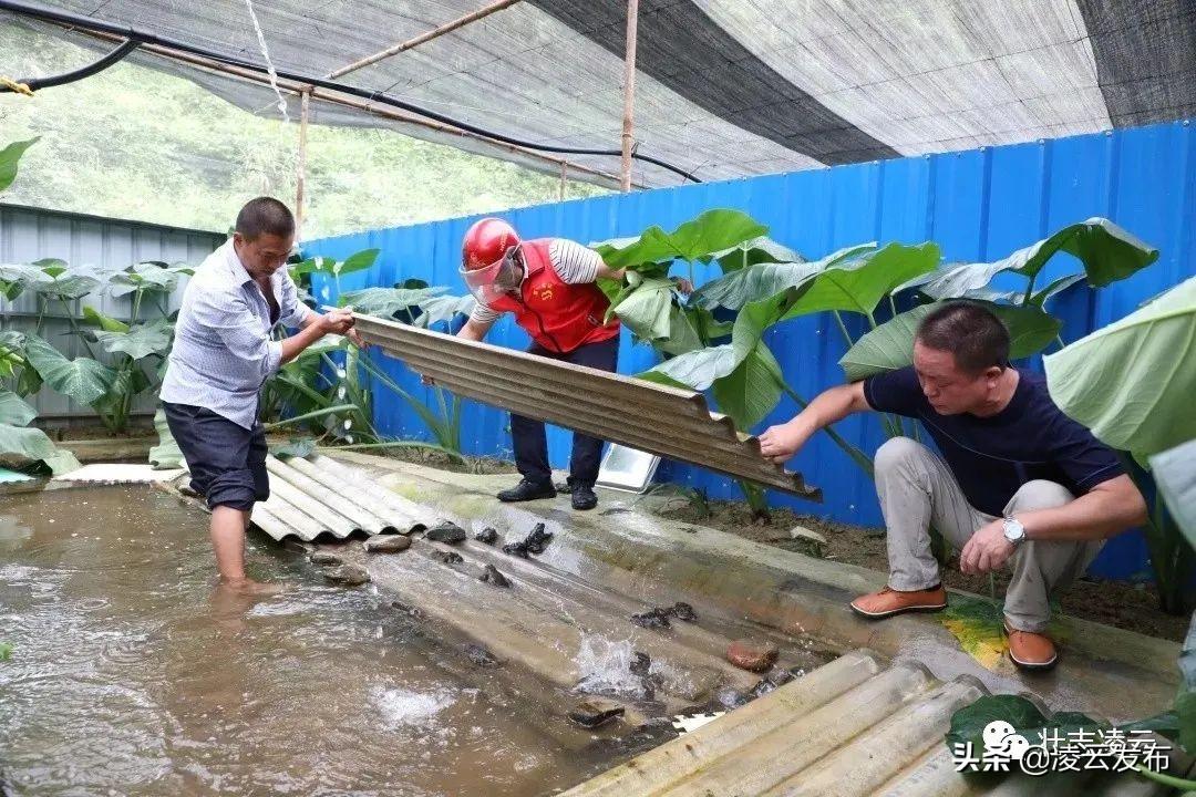 公路边建房最新标准详解