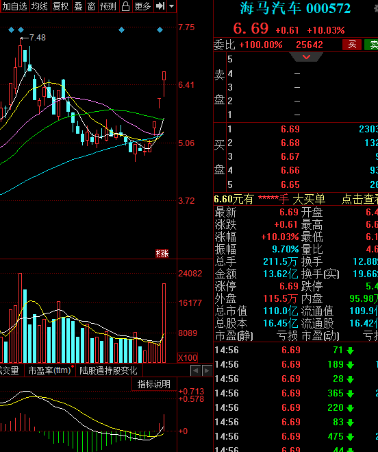 海马股票最新动态，市场走势分析与未来前景展望