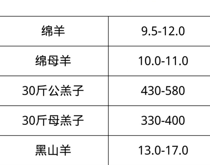 最新羊价格行情走势深度解析