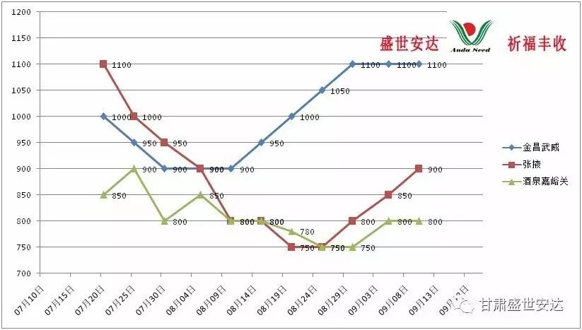 甘肃洋葱价格最新行情分析（2017年）