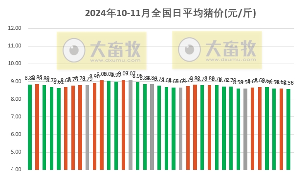 台山最新猪价行情分析