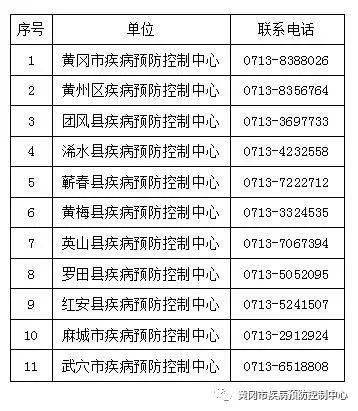 黄冈最新确诊情况，疫情挑战与应对策略