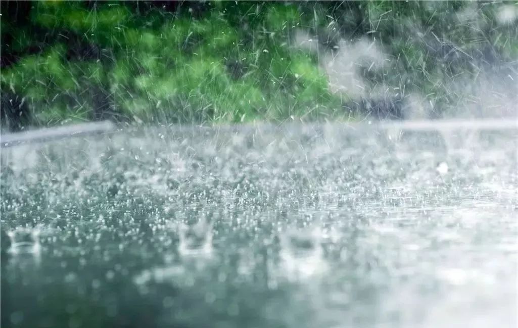 雨水滋润大地，唤醒生机勃勃的季节